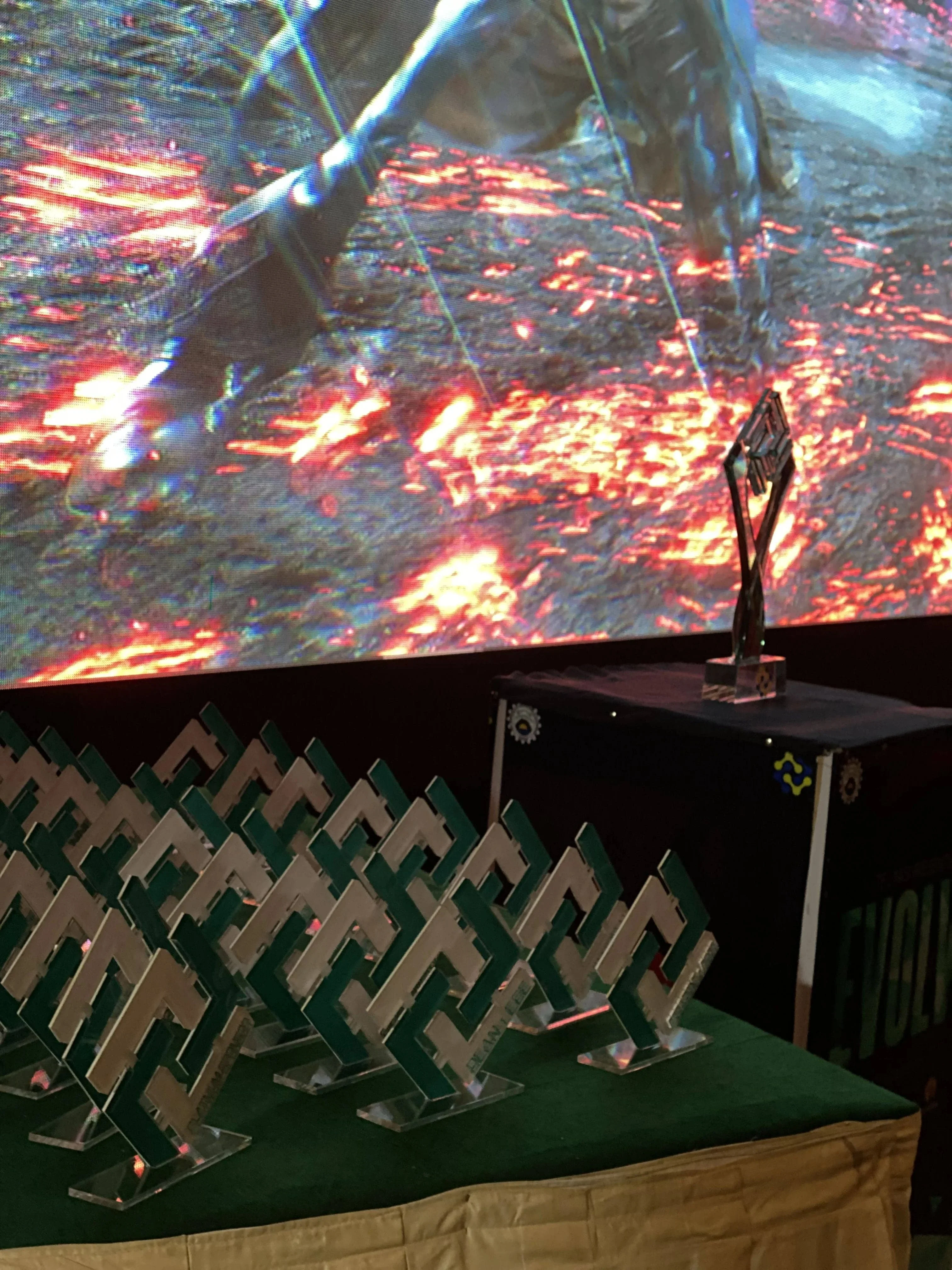 NED Evolve event gallery 38